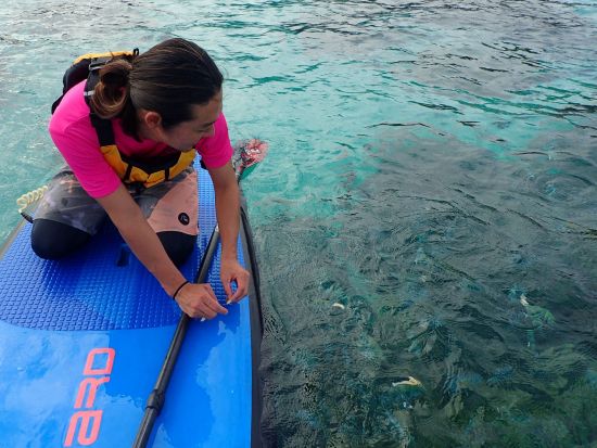 サンゴ礁の海でSUP クルージング&シュノーケリング&神秘の洞窟探検 ！＜写真無料／シャワー兼更衣室完備／恩納村＞ 