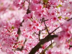 shutterstock_1616380909