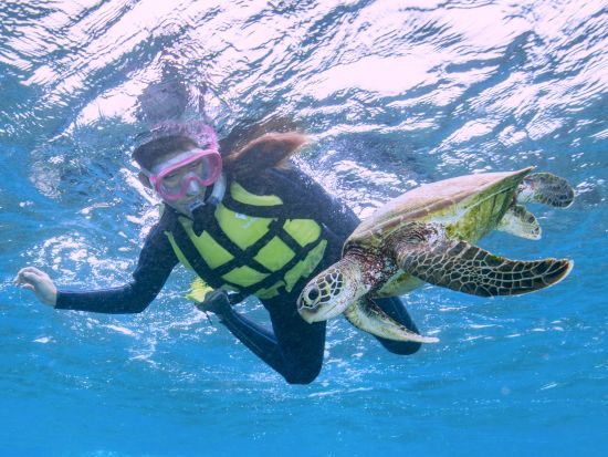 宮古ブルー満喫！ウミガメ×お魚サンゴの2ポイント周遊ツアー＜再チャレンジ無料保証／写真付き／1日／宮古島＞