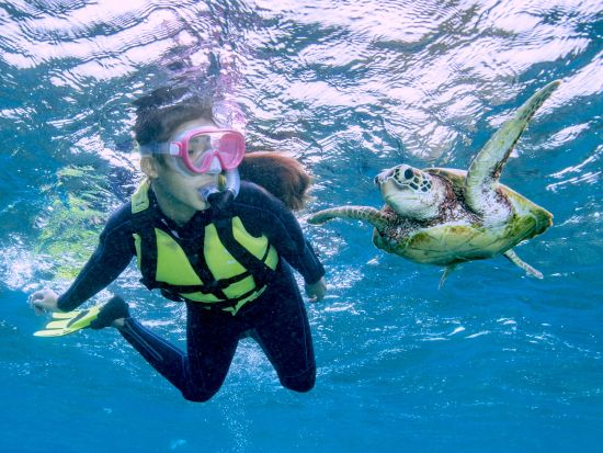 ウミガメとクマノミに会いに行くシュノーケリングツアー　市街地にあるパウダールームなど設備充実の店舗集合でらくらく参加＜再チャレンジ無料保証／写真付き／宮古島＞