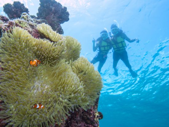 はじめての海遊び！お魚さがしのぷかぷかシュノーケル 2歳～75歳まで参加OK！市街地にあるパウダールームなど設備充実の店舗集合でらくらく参加＜写真付き／宮古島＞