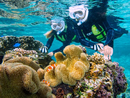 サンゴシュノーケリングツアー 極上のサンゴ礁でお魚ウォッチング 3歳から参加可能プランあり 宮古島 宮古島の観光 オプショナルツアー専門 Veltra ベルトラ サンゴシュノーケリングツアー 極上のサンゴ礁でお魚ウォッチング 3歳から参加可能プランあり 宮古島 宮古島の観光 オプショナルツアー専門 Veltra ベルトラ