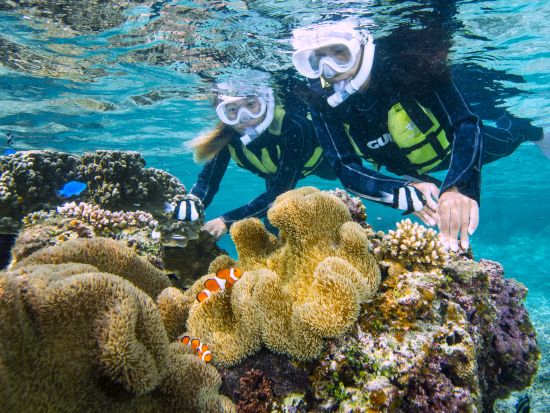 宮古島定番アクティビティ お魚さがし体験＋サンセットSUPセットプラン＜再チャレンジ無料保証／写真付き／1日／宮古島＞