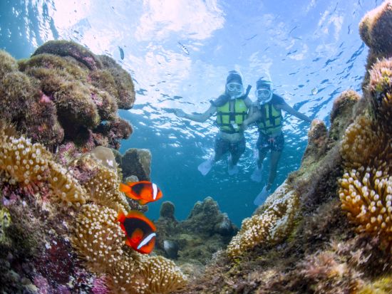 はじめての海遊び！お魚さがしのぷかぷかシュノーケル 2歳～75歳まで参加OK！市街地にあるパウダールームなど設備充実の店舗集合でらくらく参加＜写真付き／宮古島＞