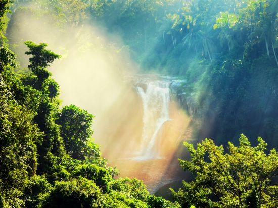 【貸切】バリ島パワースポット巡り　人気の滝スポット2選＋パンリプラン伝統村＋キンタマーニ高原ツアー＜1日／日本語ガイド／昼食付＞