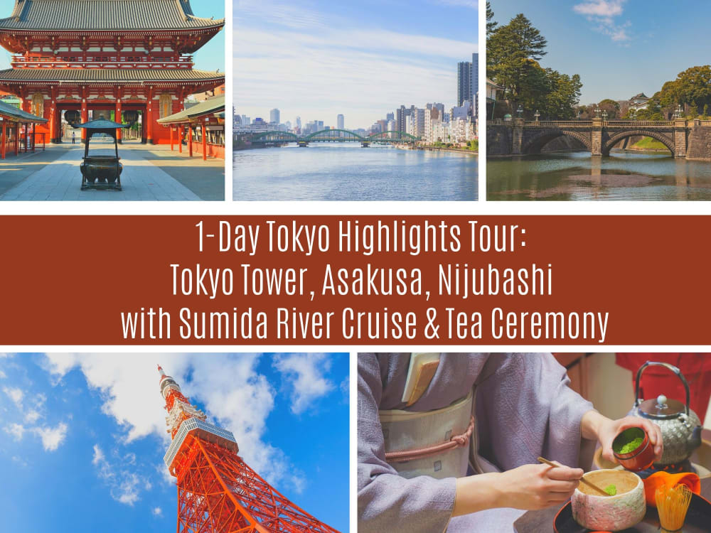 tokyo one day bus tour