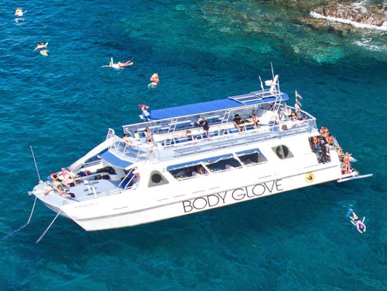 野生のイルカウォッチング＆シュノーケリングツアー ＜朝食・昼食付き＞