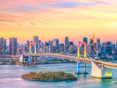 See the Rainbow Bridge on a Tokyo Bay cruise