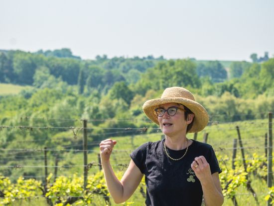 フランス南西地方　ベルジュラック地区　オーガニックワインの醸造家に学ぶワイン作りをテイスティング　ワインブレンド体験プランあり＜英語ガイド／ガルドンヌ発着＞
