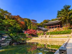 changdeokgung_temple_seoul_garden