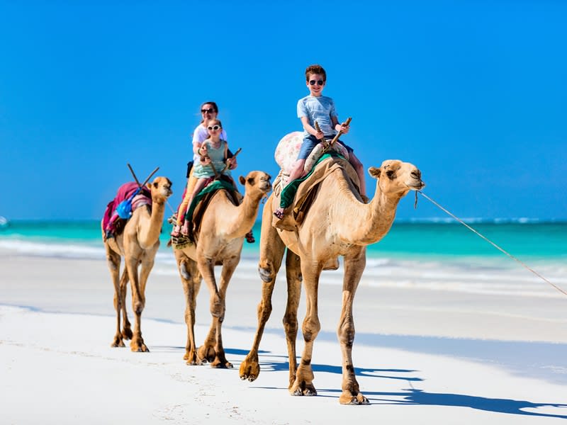 Camel Ride Bali