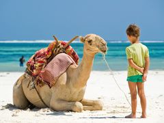 Camel Ride Bali