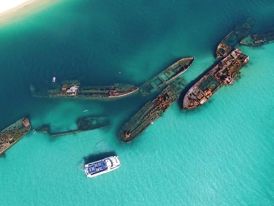 11 5月限定 モートン島 ワイルドライフクルーズ タンガルーマ沈没船シュノーケリング ブリスベン発 昼食付 英語ガイド ブリスベンの観光 オプショナルツアー専門 Veltra ベルトラ 11 5月限定 モートン島 ワイルドライフクルーズ タンガルーマ沈没船シュノーケリング ブリスベン発 昼食付 英語ガイド ブリスベンの観光 オプショナルツアー専門 Veltra ベルトラ