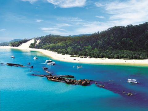 モートン島 ワイルドライフクルーズ&タンガルーマ沈没船シュノーケリング　送迎付きプランあり！＜昼食付／英語ガイド／ブリスベン発＞