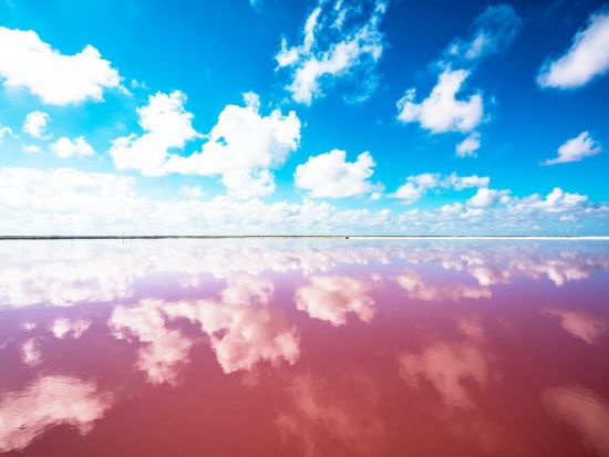 メキシコ周遊5泊6日ツアー　世界遺産テオティワカン＋ウシュマル＋チチェン・イッツァ遺跡訪問＜日本語＆英語ガイド／メキシコシティ発着＞