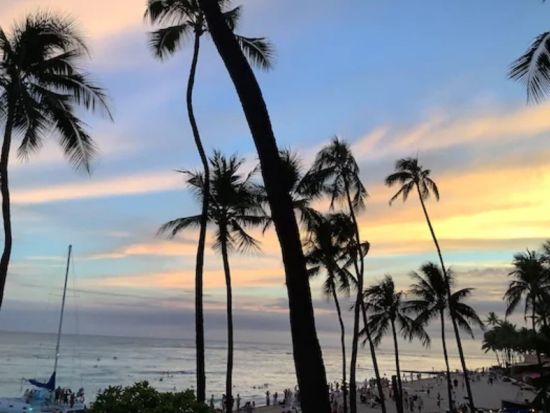 本格フレンチレストラン「ミッシェルズ・アット・ザ・コロニーサーフ」コースディナー＆タンタラスの丘夜景観賞ツアー＜夕＞