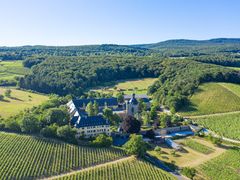 Rhinegau_Schloss Vollrads_shutterstock_1480106249