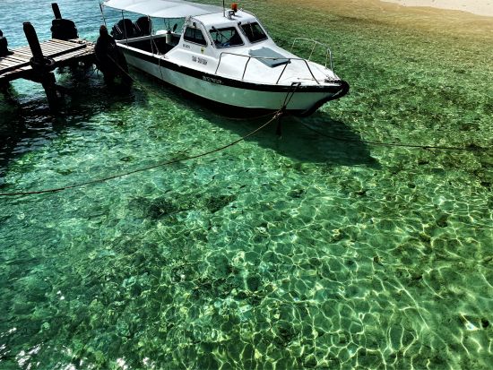 サピ島＆マムティック島　国立公園の海で2島巡りシュノーケリングツアー＜1日／日本語／コタキナバル発／ランチ付＞