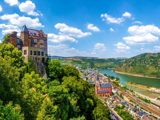 世界遺産ライン渓谷とハイデルベルク1日観光ツアー ＜車＋ガイド貸切／日本語／フランクフルト発＞