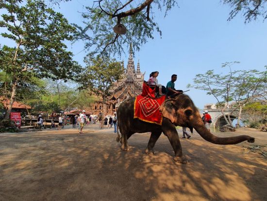 パタヤパワースポット1日観光ツアー　アジアのサグラダファミリア「サンクチュアリ・オブ・トゥルース」＋ワット・プラヤイ＋ワット・カオシーチャン＜バンコク発／日本語