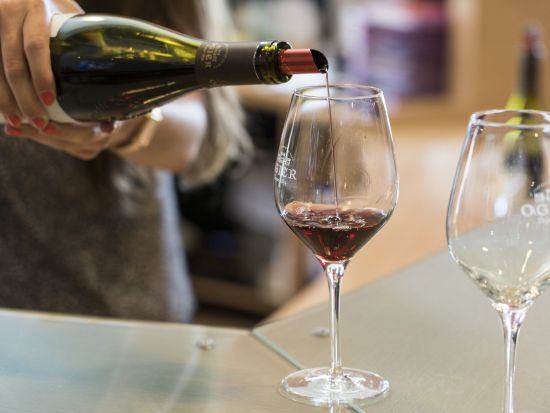 魅力たっぷり！終日プロヴァンス周遊たび☆ワイナリー訪問つきハイライトツアー＜英語／アヴィニョン発＞ 