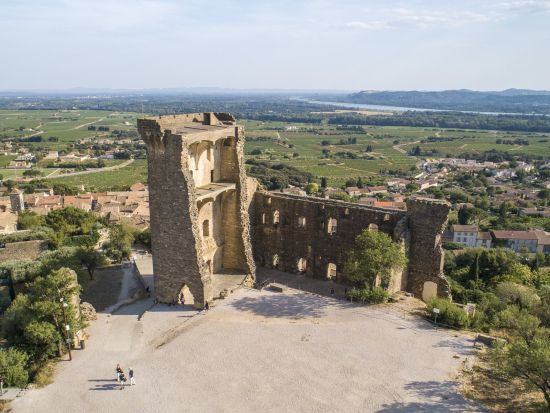 魅力たっぷり！終日プロヴァンス周遊たび☆ワイナリー訪問つきハイライトツアー＜英語／アヴィニョン発＞ 