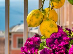 Italy_Positano_shutterstock_1436377745