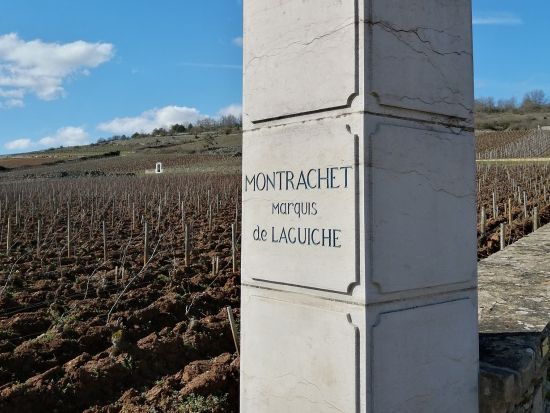 【貸切または混載】ブルゴーニュ地方 ワイン産地訪問　4つの行き先から選択可＜半日または1日／日本語専門通訳／ボーヌ発＞