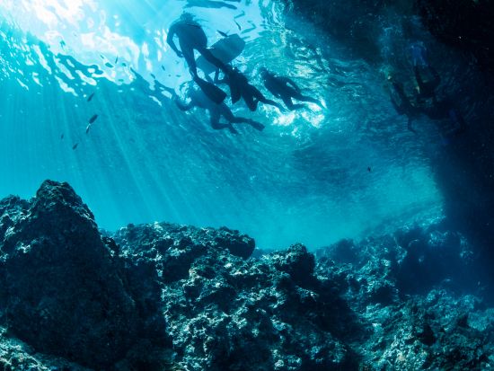 青の洞窟シュノーケリング ボートで行く神秘の水中世界！完全貸切ガイドで安心♪高画質写真＆動画データ無料＜恩納村発＞