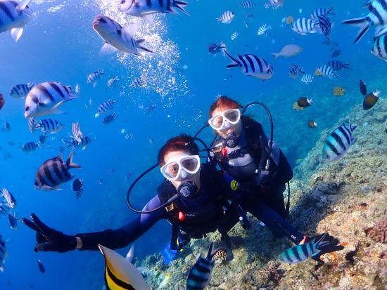 青の洞窟体験ダイビング ボートで楽々移動＆高画質写真無料！餌付け体験付き♪神秘的な青の世界を満喫＜1ダイブ／恩納村発＞