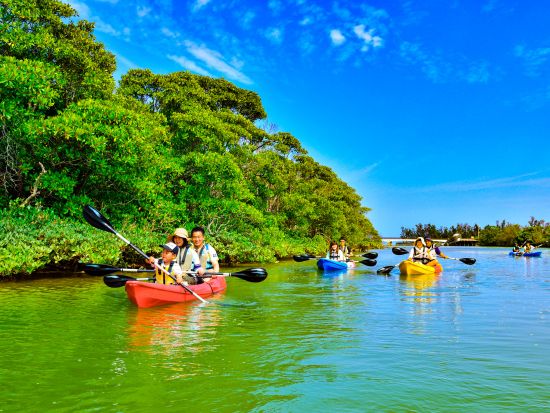 億首川カヤックツアー 沖縄本島唯一！4種のマングローブを楽しむ 高画質写真撮影付き＆3歳から参加OK 初心者も安心の冒険旅＜ホテル送迎可／恩納村発＞