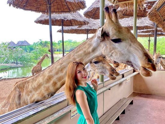 バンコク サファリワールド＋マリンパーク1日ツアー　オラウータンやトラと写真撮影可！お子様連れにも人気＜ホテル送迎／日本語ガイド／昼食付＞