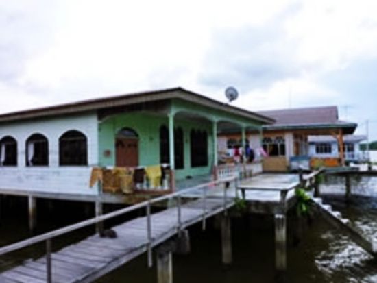 ブルネイ マングローブクルーズ観光ツアー テングザルなど野生動物鑑賞 水上集落でティータイム＜午前 or 午後／日本語ガイド／往復送迎＞