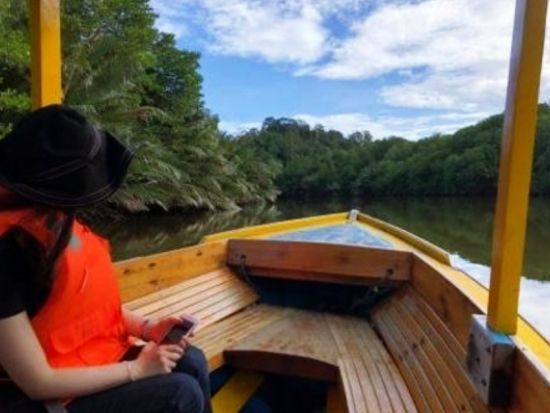 ブルネイ マングローブクルーズ観光ツアー テングザルなど野生動物鑑賞 水上集落でティータイム＜午前 or 午後／日本語ガイド／往復送迎＞