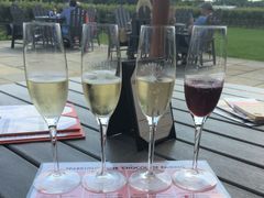 Hokuto_International_Winery_Tour_3