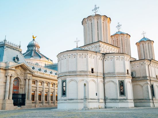 shutterstock_1528572098