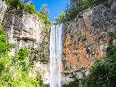 Australia_Springbrook_National_park_shutterstock_1095722792