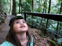 Australia_Springbrook_National_park_shutterstock_223662853
