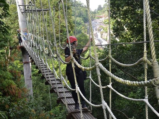 LGK_ZIPLINE7_RESIZE