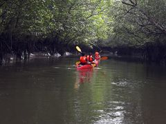 LGK_KAYAK1