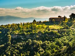 shutterstock_1628690140
