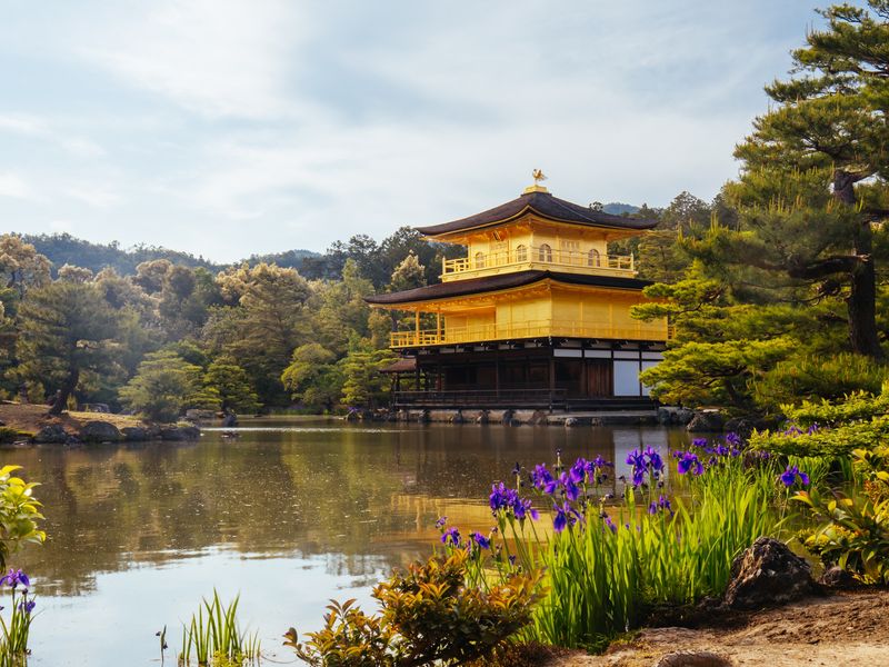 Kyoto 1 Day Private Taxi Tour From Osaka To Arashiyama Fushimi Inari And More Tours Activities Fun Things To Do In Kyoto Japan Veltra Kyoto 1 Day Private Taxi Tour From Osaka To Arashiyama Fushimi Inari And More Tours Activities Fun Things To Do In Kyoto Japan Veltra
