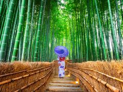 Arashiyama Bamboo Grove