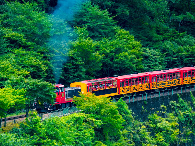 arashiyama train tour