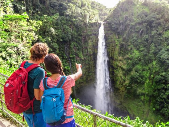 ハワイ島　貸切チャーター（1-6名） 空港送迎可能でアレンジ自在の観光プラン＜3-12時間／日本語ガイド＞