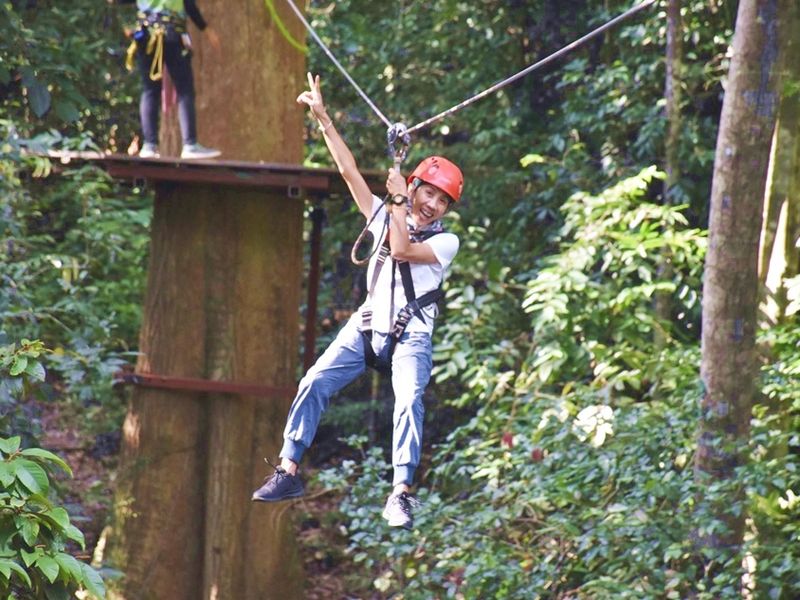 LGK_ZIPLINE1_RESIZE-crop