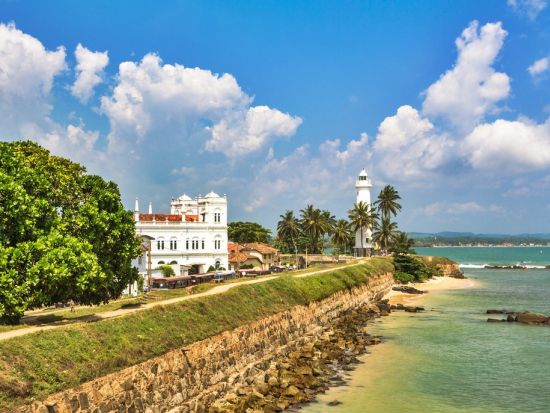 ホエールウォッチング＋世界遺産都市ゴール 日帰りツアー ＜11月～4月／1日／昼食付き／日本語ガイド／コロンボ発／貸切チャーター＞