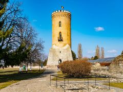 shutterstock_1646804947