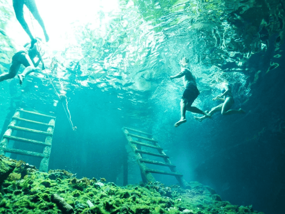 グランセノーテシュノーケリング半日観光ツアー 朝一番でセノーテを独り占め 午前 日本語ガイド 貸切オプションあり カンクン発 カンクンの観光 オプショナルツアー専門 Veltra ベルトラ グランセノーテシュノーケリング半日観光ツアー 朝一番でセノーテを独り占め 午前 日本語ガイド 貸切オプションあり カンクン発 カンクンの観光 オプショナルツアー専門 Veltra ベルトラ