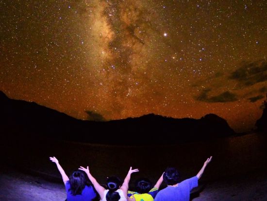 父島ナイトツアー　星空観察や夜行性の生き物探しなど季節に合わせたスポットへベテランガイドがご案内＜夜／送迎付き／小笠原諸島・父島発＞by ボニンブルーシマ